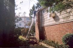 scan0044